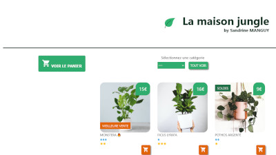 'La Maison Jungle by Sandrine MANGUY' website screenshot